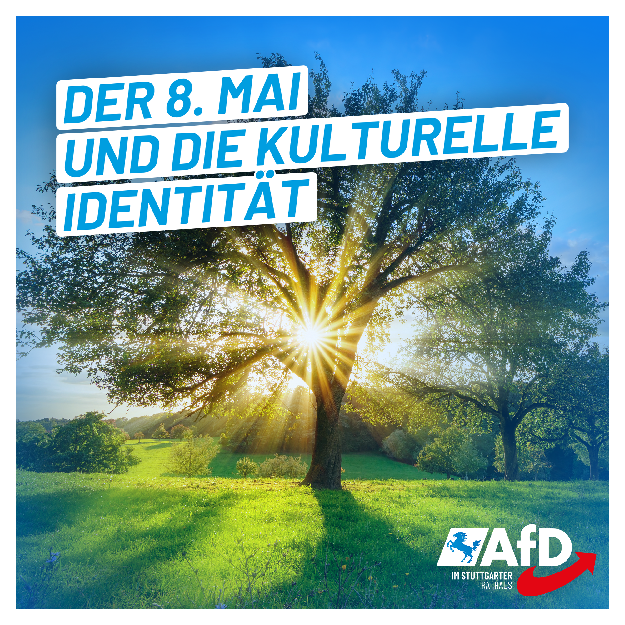 Der 8. Mai und die kulturelle Identität